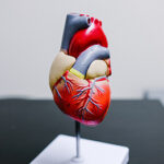 Cardiologia e cardiochirurgia